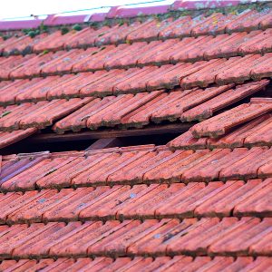 Home roof damage after storm. fallen shingles on house